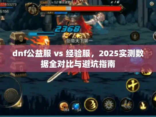 dnf公益服 vs 经验服，2025实测数据全对比与避坑指南