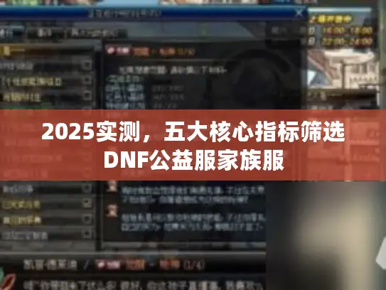 2025实测,五大核心指标筛选DNF公益服家族服 2025实测,五大核心指标筛选DNF公益服家族服