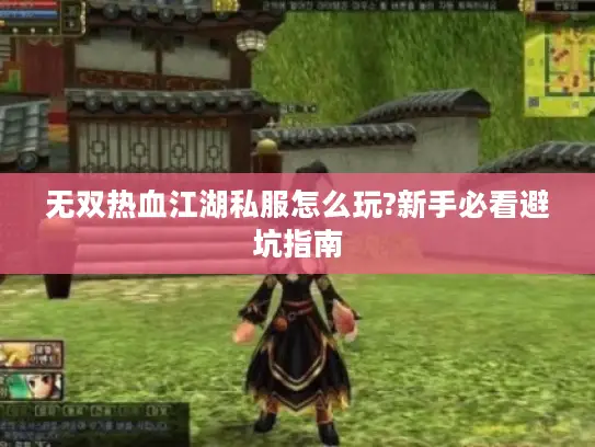 无双热血江湖私服怎么玩?新手必看避坑指南