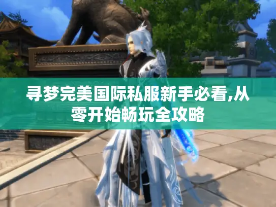 寻梦完美国际私服新手必看,从零开始畅玩全攻略
