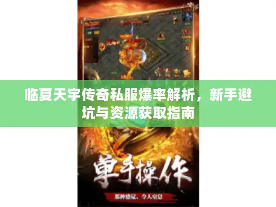 临夏天宇传奇私服爆率解析，新手避坑与资源获取指南