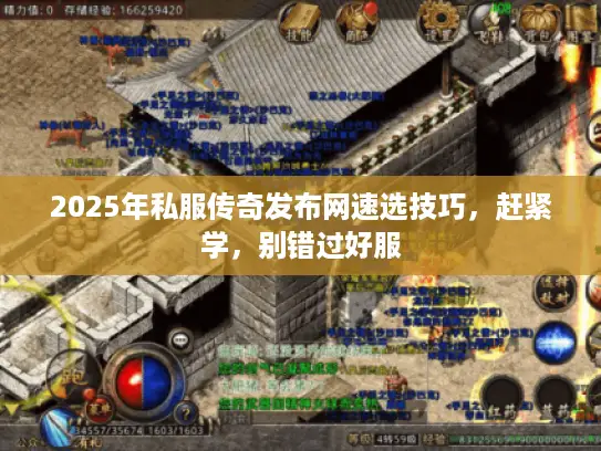 2025年私服传奇发布网速选技巧，赶紧学，别错过好服