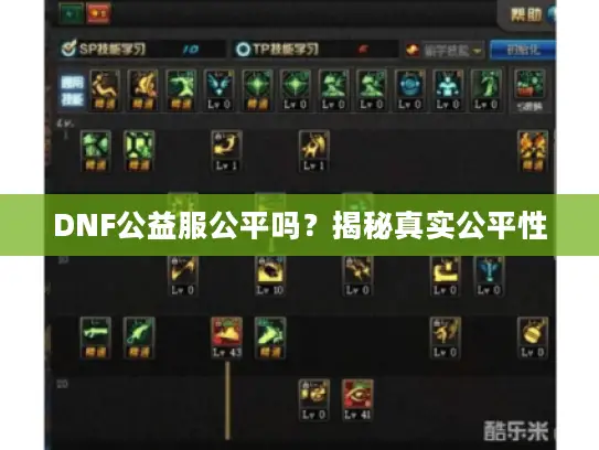 DNF公益服公平吗？揭秘真实公平性