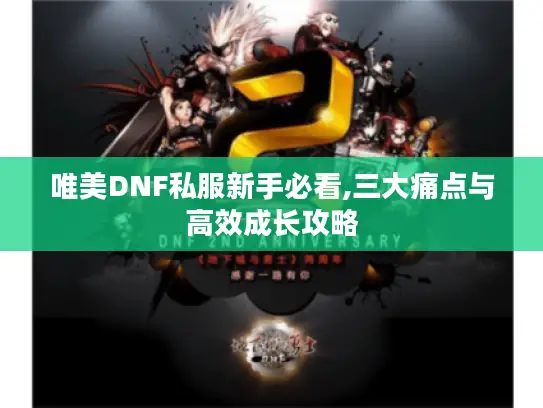 唯美DNF私服新手必看,三大痛点与高效成长攻略 唯美DNF私服新手必看,三大痛点与高效成长攻略
