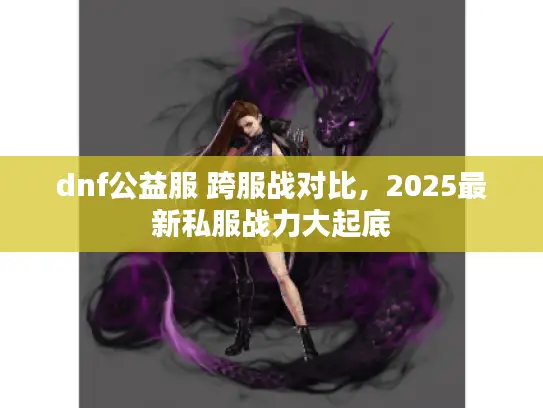 dnf公益服 跨服战对比，2025最新私服战力大起底