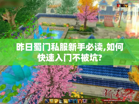 昨日蜀门私服新手必读,如何快速入门不被坑?