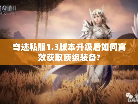 奇迹私服1.3版本升级后如何高效获取顶级装备?