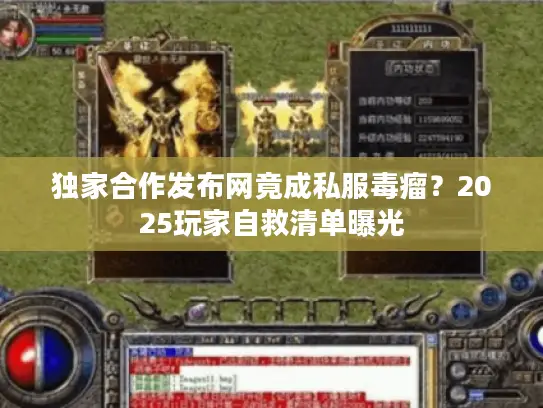 独家合作发布网竟成私服毒瘤？2025玩家自救清单曝光