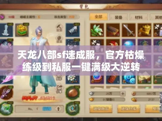 天龙八部sf速成服，官方枯燥练级到私服一键满级大逆转