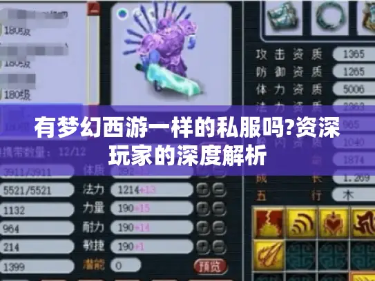 有梦幻西游一样的私服吗?资深玩家的深度解析