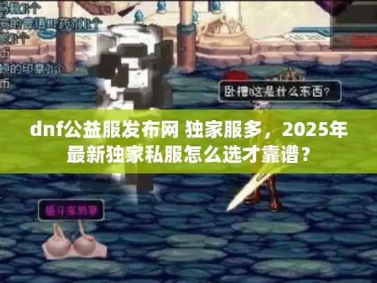 dnf公益服发布网 独家服多，2025年最新独家私服怎么选才靠谱？