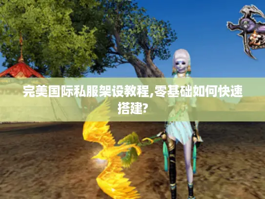 完美国际私服架设教程,零基础如何快速搭建?