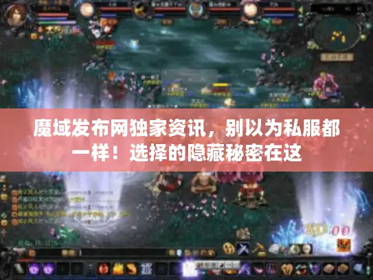 魔域发布网独家资讯，别以为私服都一样！选择的隐藏秘密在这