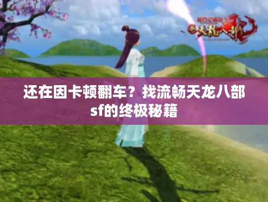 还在因卡顿翻车？找流畅天龙八部sf的终极秘籍