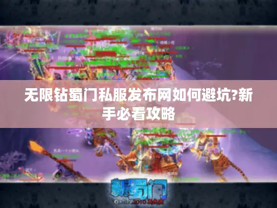 无限钻蜀门私服发布网如何避坑?新手必看攻略