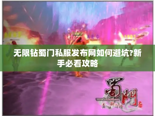 无限钻蜀门私服发布网如何避坑?新手必看攻略
