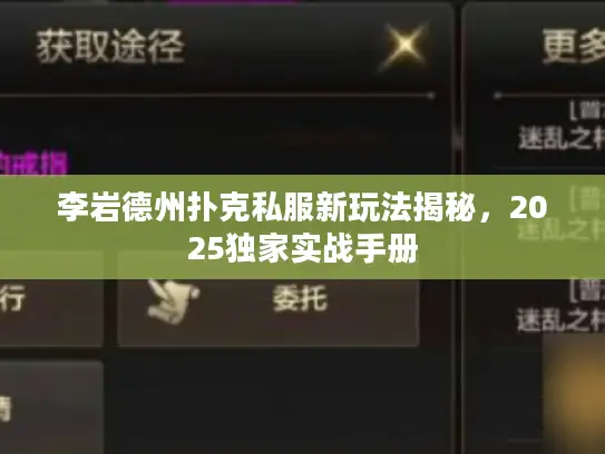 李岩德州扑克私服新玩法揭秘,2025独家实战手册 李岩德州扑克私服新玩法揭秘,2025独家实战手册