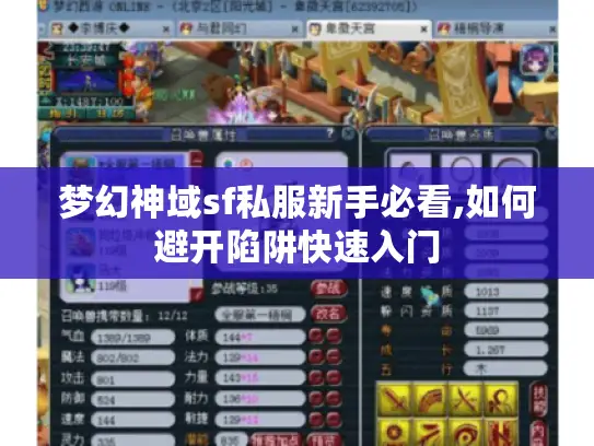 梦幻神域sf私服新手必看,如何避开陷阱快速入门