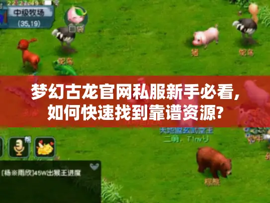梦幻古龙官网私服新手必看,如何快速找到靠谱资源? 梦幻古龙官网私服新手必看,如何快速找到靠谱资源?