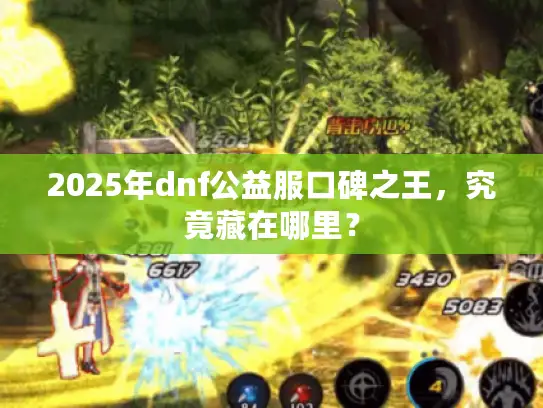 2025年dnf公益服口碑之王，究竟藏在哪里？