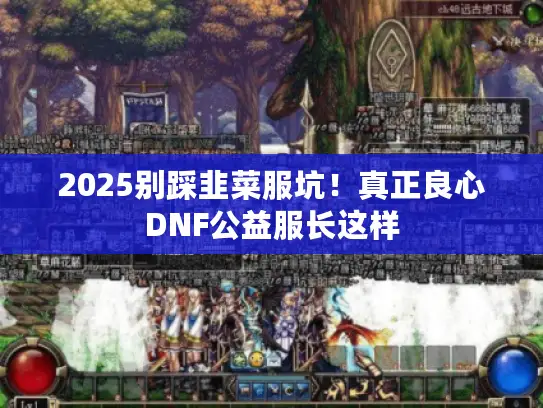 2025别踩韭菜服坑!真正良心DNF公益服长这样 2025别踩韭菜服坑!真正良心DNF公益服长这样