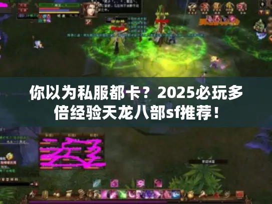 你以为私服都卡？2025必玩多倍经验天龙八部sf推荐！
