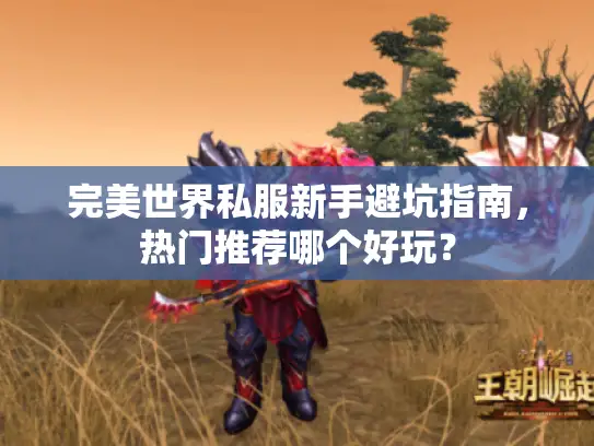 完美世界私服新手避坑指南，热门推荐哪个好玩？