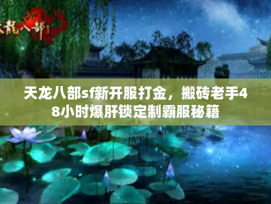 天龙八部sf新开服打金，搬砖老手48小时爆肝锁定制霸服秘籍