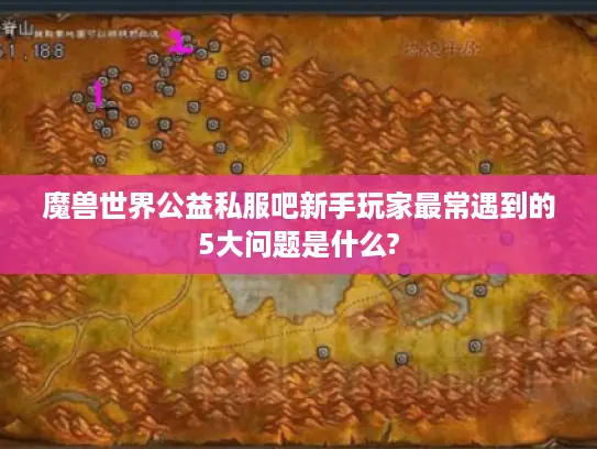 魔兽世界公益私服吧新手玩家最常遇到的5大问题是什么?