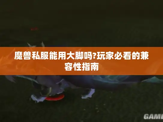 魔兽私服能用大脚吗?玩家必看的兼容性指南
