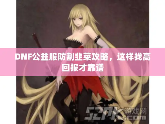 DNF公益服防割韭菜攻略，这样找高回报才靠谱