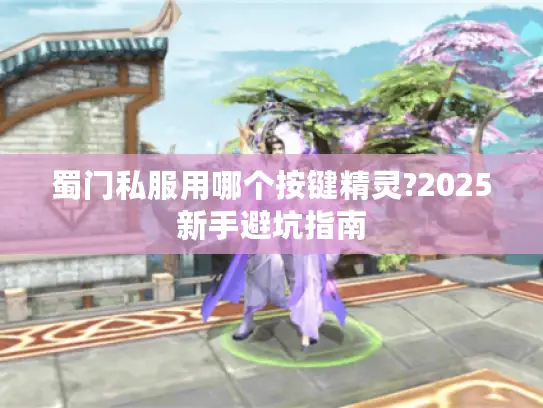 蜀门私服用哪个按键精灵?2025新手避坑指南
