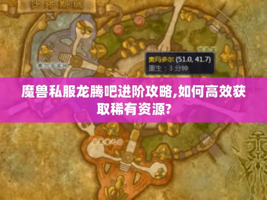 魔兽私服龙腾吧进阶攻略,如何高效获取稀有资源?