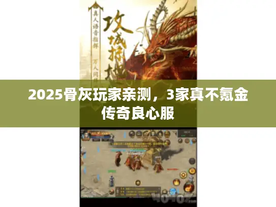 2025骨灰玩家亲测，3家真不氪金传奇良心服