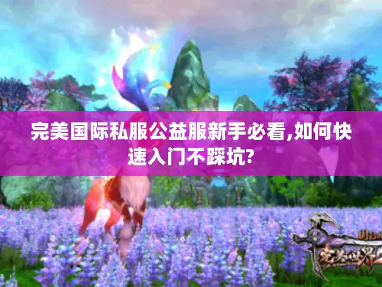完美国际私服公益服新手必看,如何快速入门不踩坑?