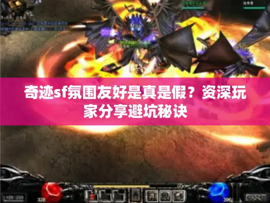 奇迹sf氛围友好是真是假?资深玩家分享避坑秘诀 奇迹sf氛围友好是真是假?资深玩家分享避坑秘诀