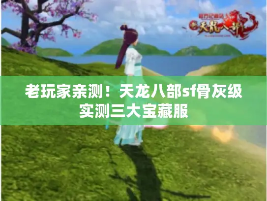 老玩家亲测！天龙八部sf骨灰级实测三大宝藏服