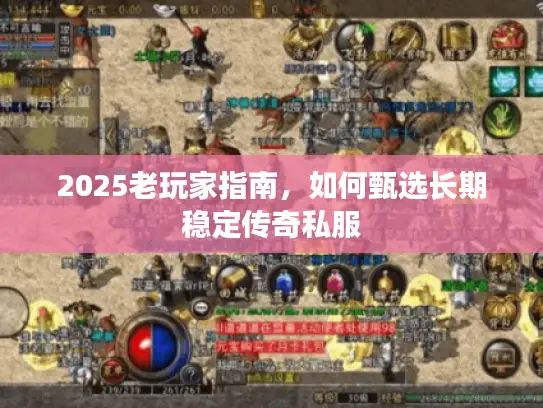 2025老玩家指南，如何甄选长期稳定传奇私服