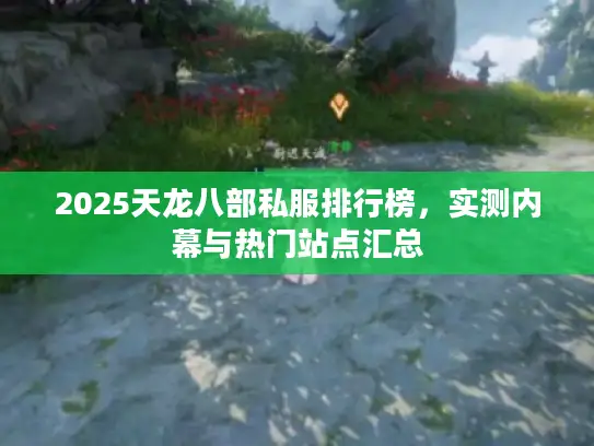 2025天龙八部私服排行榜,实测内幕与热门站点汇总 2025天龙八部私服排行榜,实测内幕与热门站点汇总