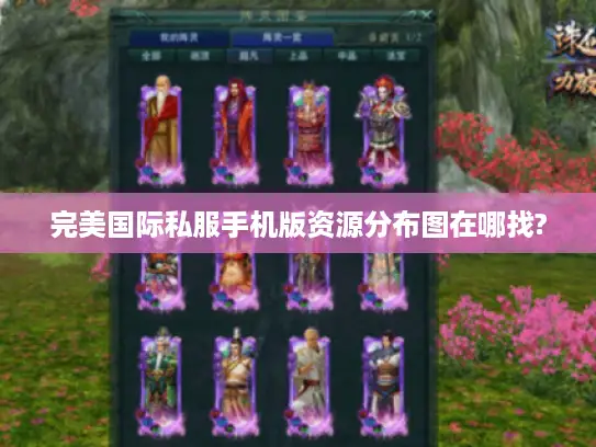 完美国际私服手机版资源分布图在哪找?