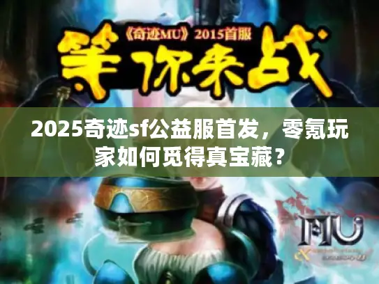 2025奇迹sf公益服首发，零氪玩家如何觅得真宝藏？