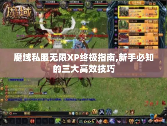 魔域私服无限XP终极指南,新手必知的三大高效技巧