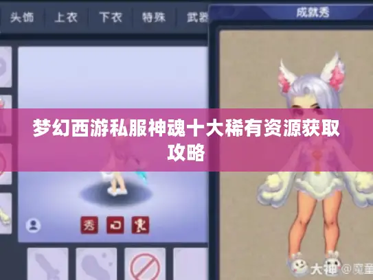梦幻西游私服神魂十大稀有资源获取攻略