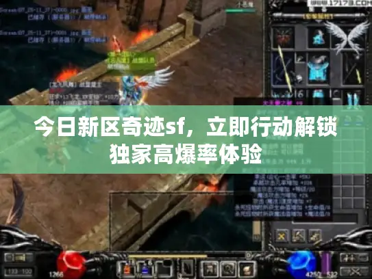 今日新区奇迹sf，立即行动解锁独家高爆率体验