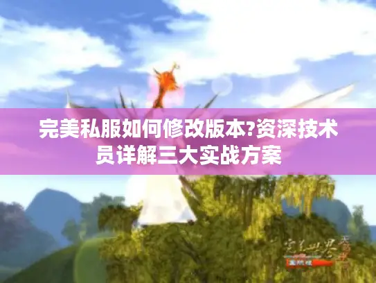 完美私服如何修改版本?资深技术员详解三大实战方案