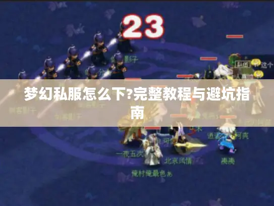 梦幻私服怎么下?完整教程与避坑指南