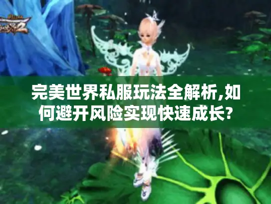 完美世界私服玩法全解析,如何避开风险实现快速成长?