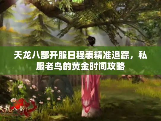 天龙八部开服日程表精准追踪，私服老鸟的黄金时间攻略