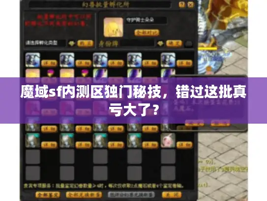 魔域sf内测区独门秘技，错过这批真亏大了？