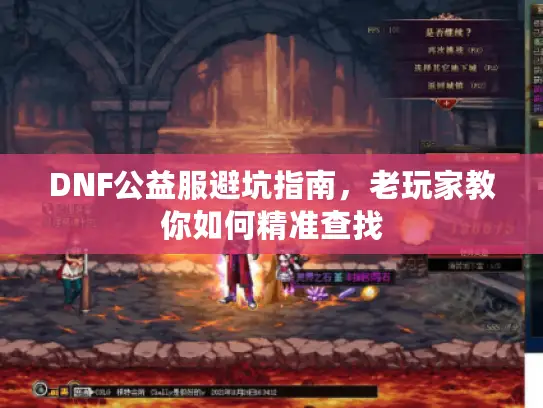 DNF公益服避坑指南，老玩家教你如何精准查找